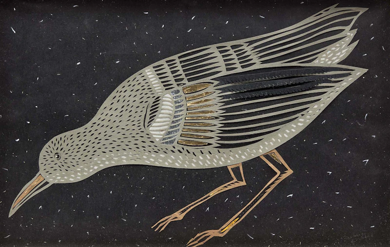 BIRD by Barbara Klunder