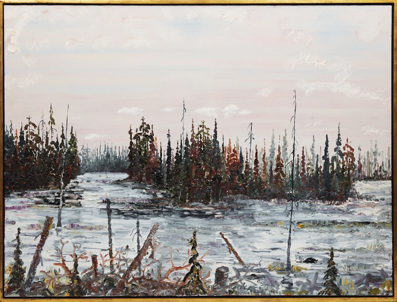 Alex Cameron, Haliburton, oil on canvas, 1991 - view 2