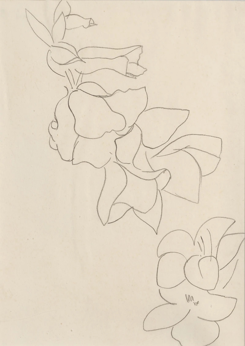 Fleurs et feuilles, 1942 by Henri Matisse