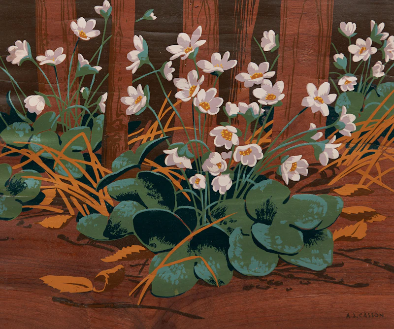 Alfred Joseph Casson, Ladyslipper Orchids; Marsh Marigolds; Round Lobed Hepatica; Trilliums; Early Wild Rose; Snowberries, six silkscreens on wood veneer - view 7