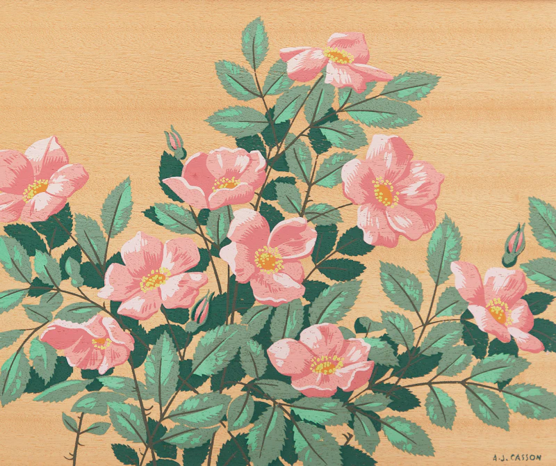 Alfred Joseph Casson, Ladyslipper Orchids; Marsh Marigolds; Round Lobed Hepatica; Trilliums; Early Wild Rose; Snowberries, six silkscreens on wood veneer - view 10