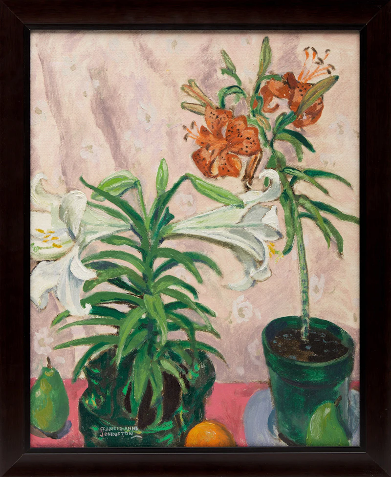 Frances Anne Johnston, Lily Plants and Fruit, c.1970, oil on canvas board, circa 1970 - view 2