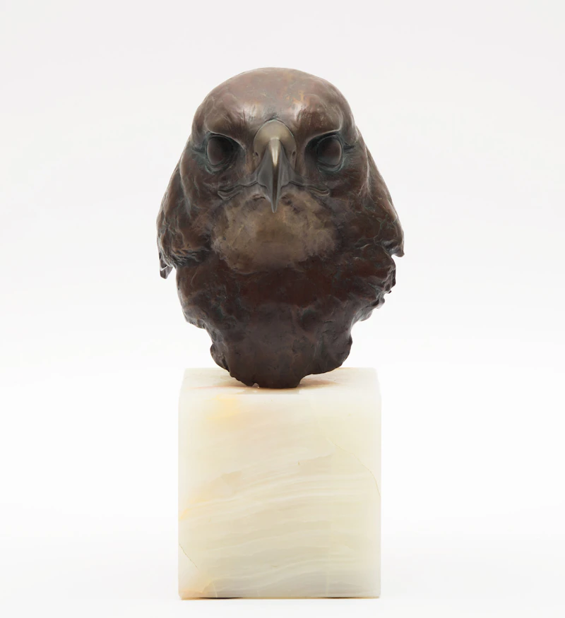 Red-Tailed Hawk Head Study (Buteo Jamaicensis) by Robert Bateman