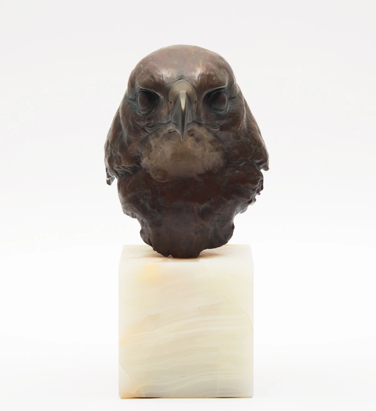 Robert Bateman, Red-Tailed Hawk Head Study (Buteo Jamaicensis), bronze, 1982