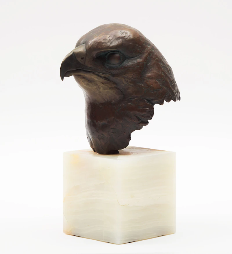 Robert Bateman, Red-Tailed Hawk Head Study (Buteo Jamaicensis), bronze, 1982 - view 2