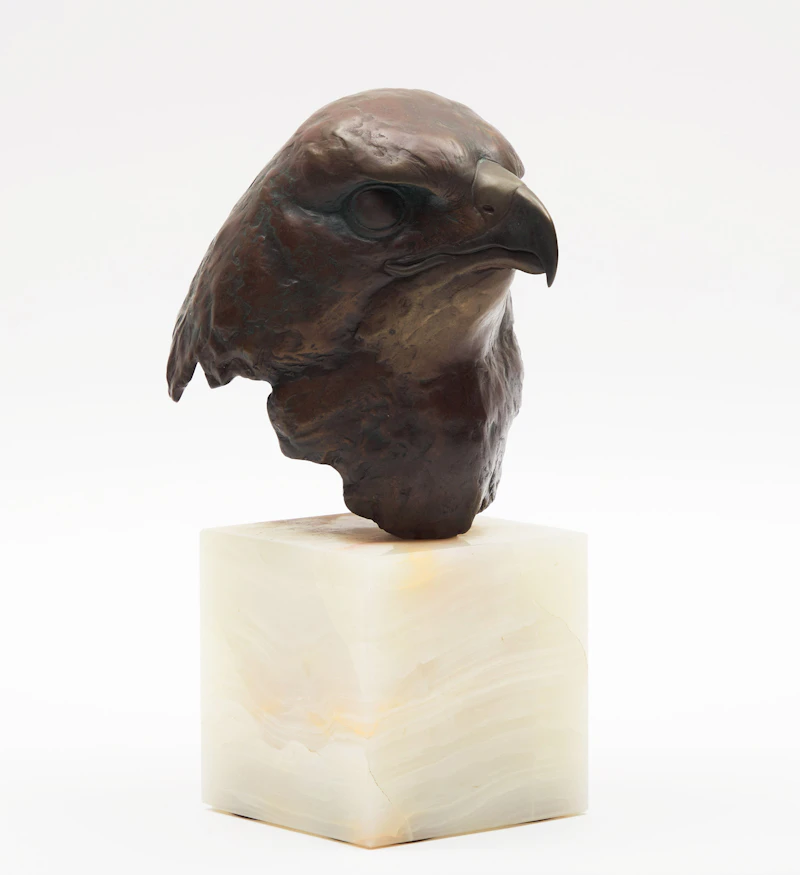 Robert Bateman, Red-Tailed Hawk Head Study (Buteo Jamaicensis), bronze, 1982 - view 3