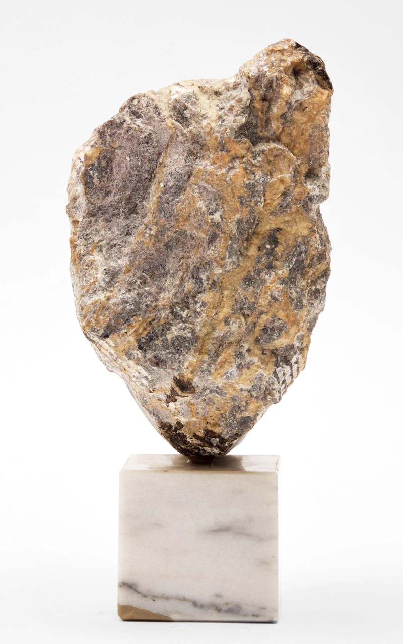 Elford Bradley Cox, Face, marble, 1966 - view 4