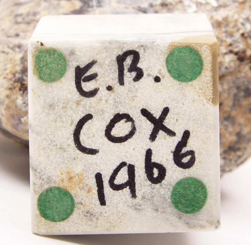 Elford Bradley Cox, Face, marble, 1966 - view 6