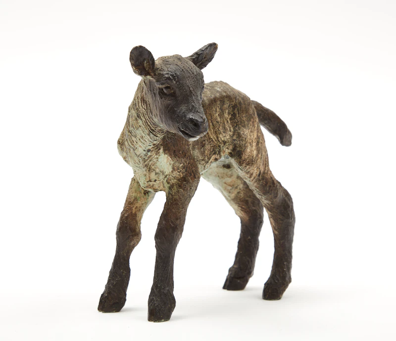 Joe Fafard, Lamb, bronze, 1994 - view 3