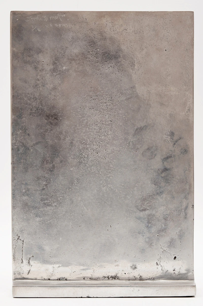 Jordi Bonet, Torse Fleur, aluminum - view 4
