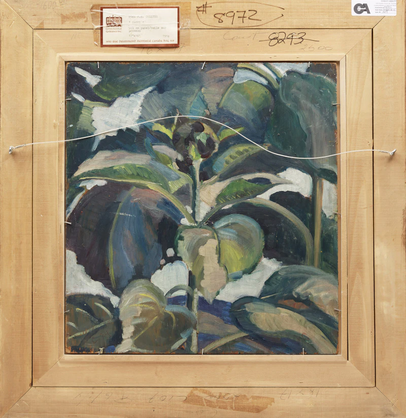Nora Frances Elisabeth Collyer, Cacti, double-sided oil on panel - view 3