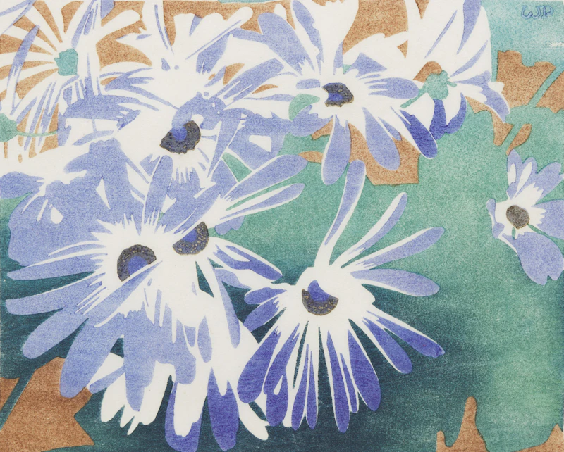 Cineraria by Walter Joseph Phillips