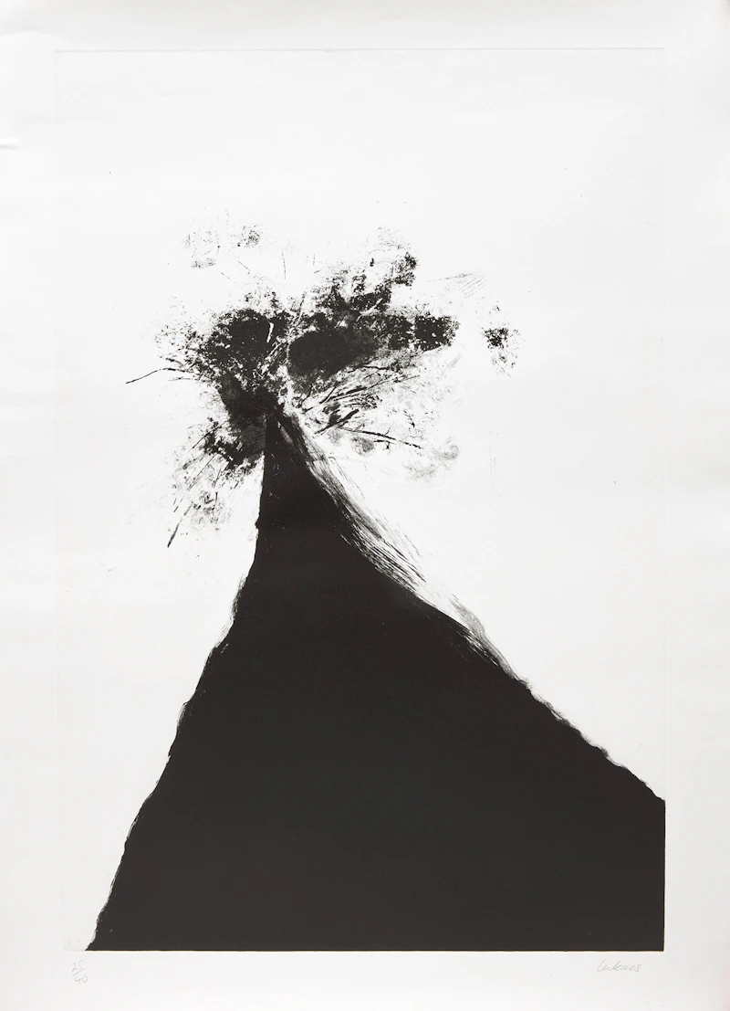 Attila Richard Lukacs, Arbor, etching - view 2