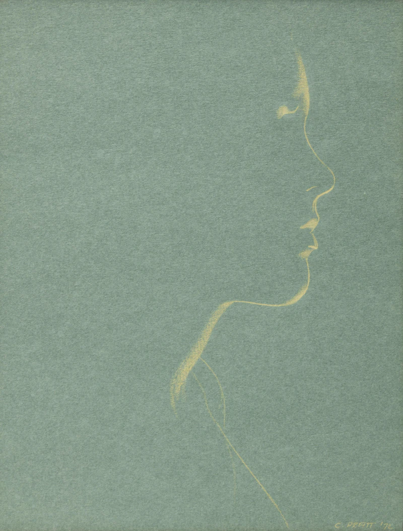 Bride Meany by Christopher Pratt
