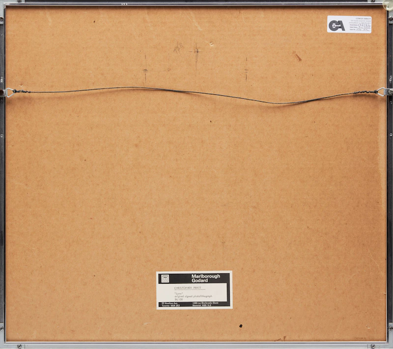 Christopher Pratt, Lynx, colour photolithograph - view 3