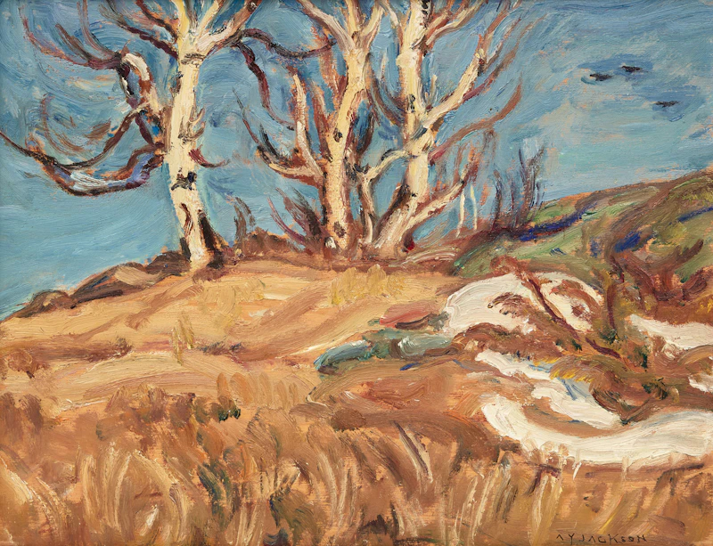 Alexander Young Jackson, Old Birch Trees, Calabogie, oil on board