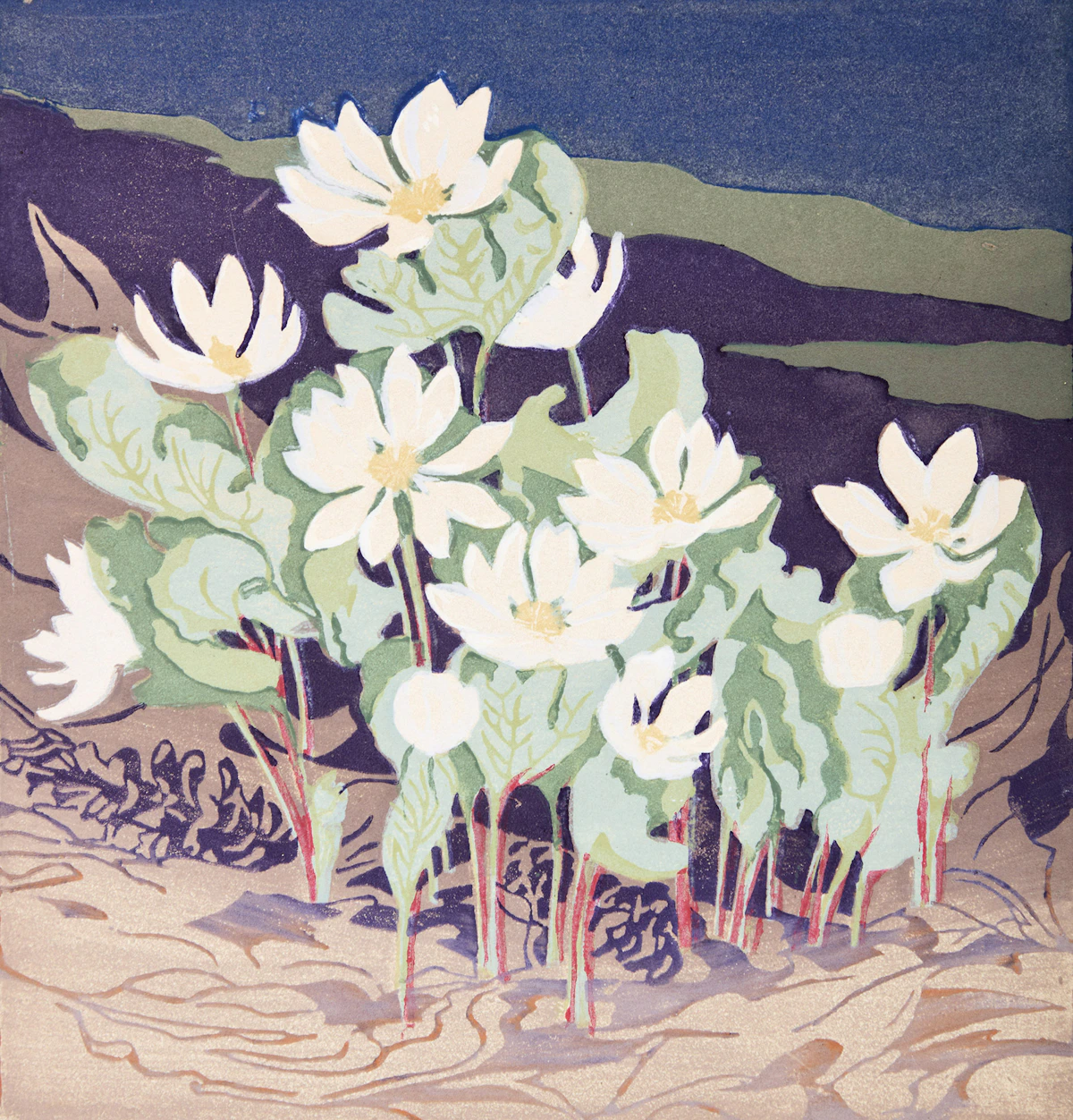 Mary Evelyn Wrinch, Northern Bloodroot, colour woodcut