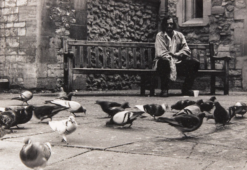 Feeding the Pigeons by Natalie Munk