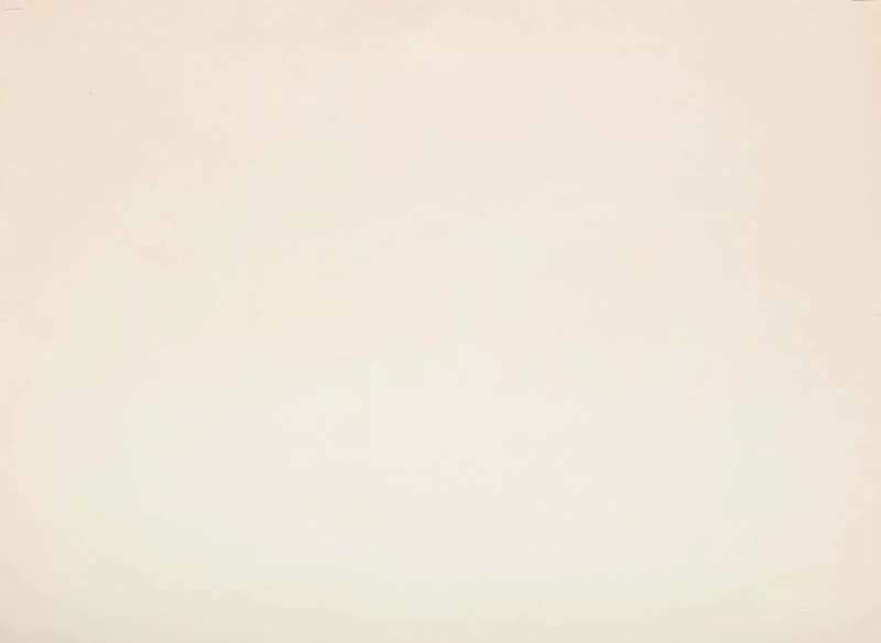 Horace Clifford Westermann, Woman from Indianapolis (Columbia, MO), lithograph, 1967 - view 2