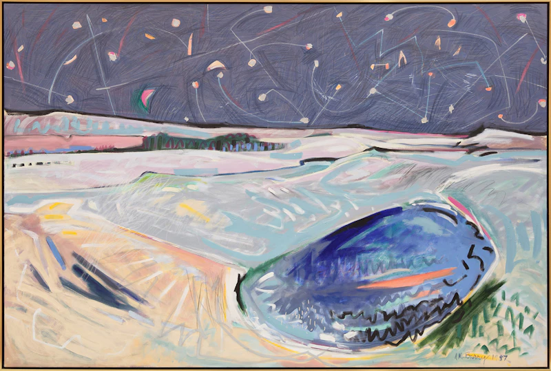 Anne Meredith Barry, Night Walk on the Barens, 1987, acrylic and mixed media on canvas - view 2