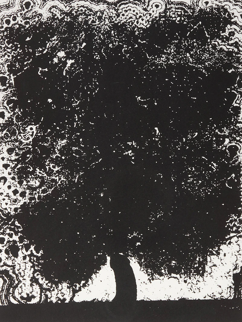 Untitled (Black Tree) by Glenn Ligon
