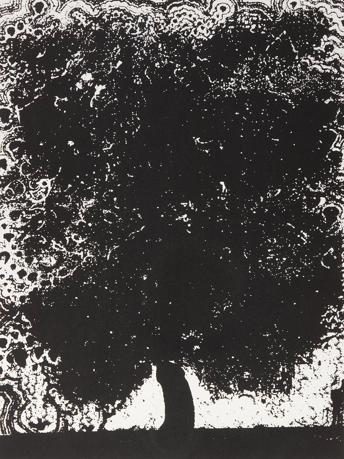 Glenn Ligon, Untitled (Black Tree), lithograph, 2005