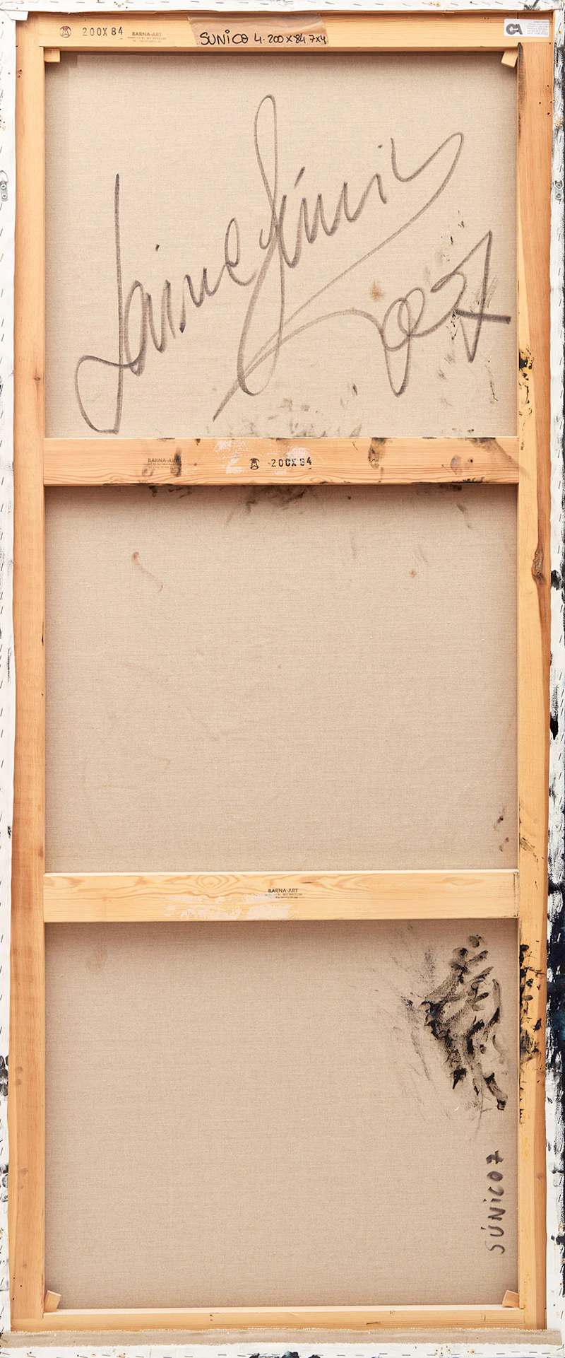 Jaime Sunico, Portrait of a Man, mixed media on canvas, 2007 - view 2