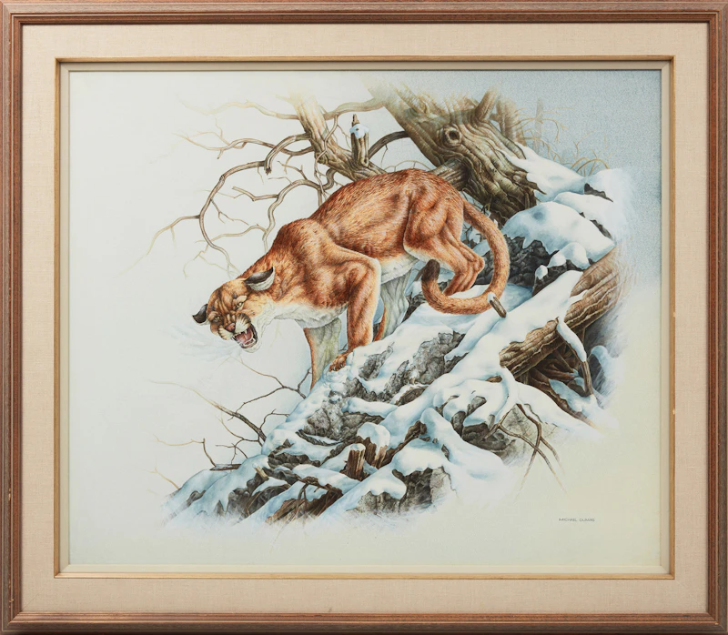 Michael Dumas, Bobcat, watercolour - view 2