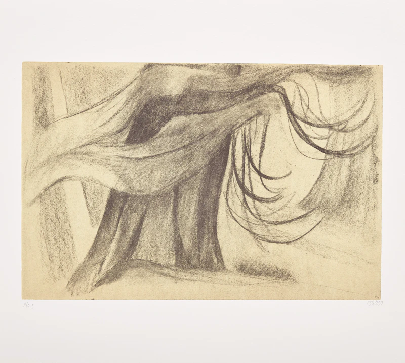 Doris Shadbolt, The Art of Emily Carr, book with folio of six photolithographic reproductions, 1980 - view 2
