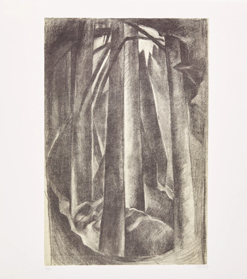 Doris Shadbolt, The Art of Emily Carr, book with folio of six photolithographic reproductions, 1980 - view 5