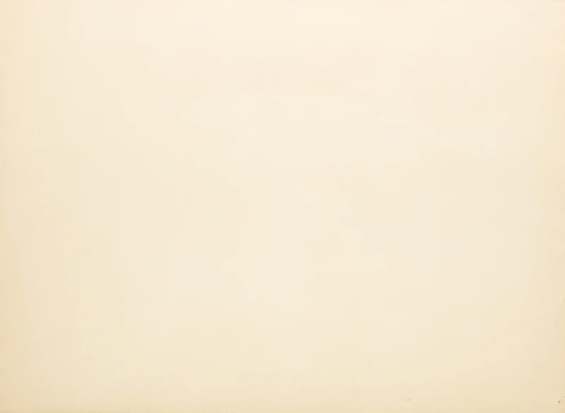 Emil Weddige, Sierra Nevada, colour lithograph on BFK Rives wove paper - view 2