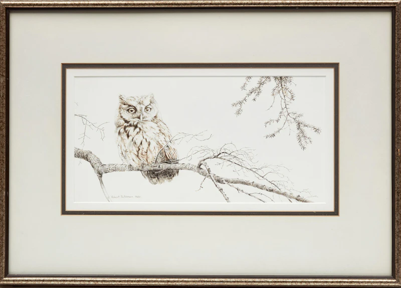 Robert Bateman, Screech Owl in Hemlock Branch, 1980, pen and ink drawing - view 2