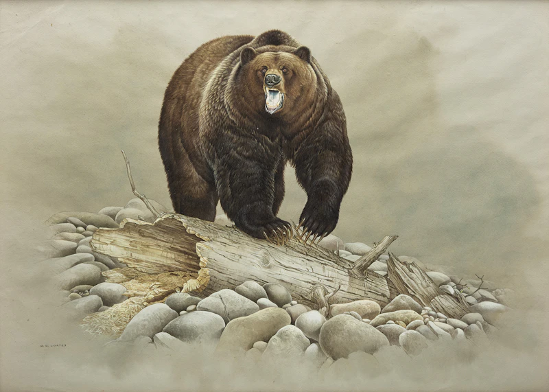 Ursus Horribilis by Martin Glen Loates