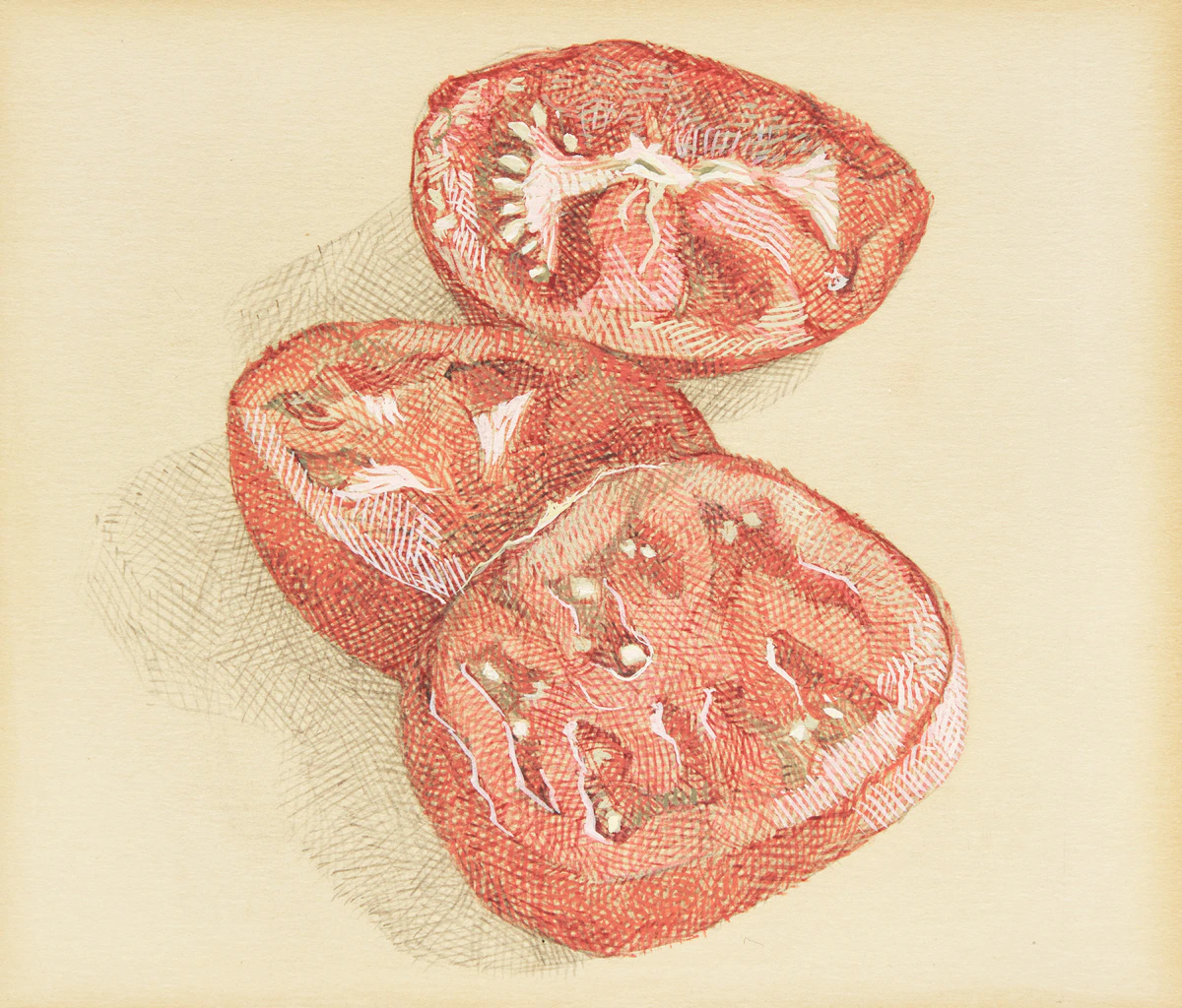 Hugh Seaforth Mackenzie, Untitled (Sliced Tomato), graphite and ink on paper