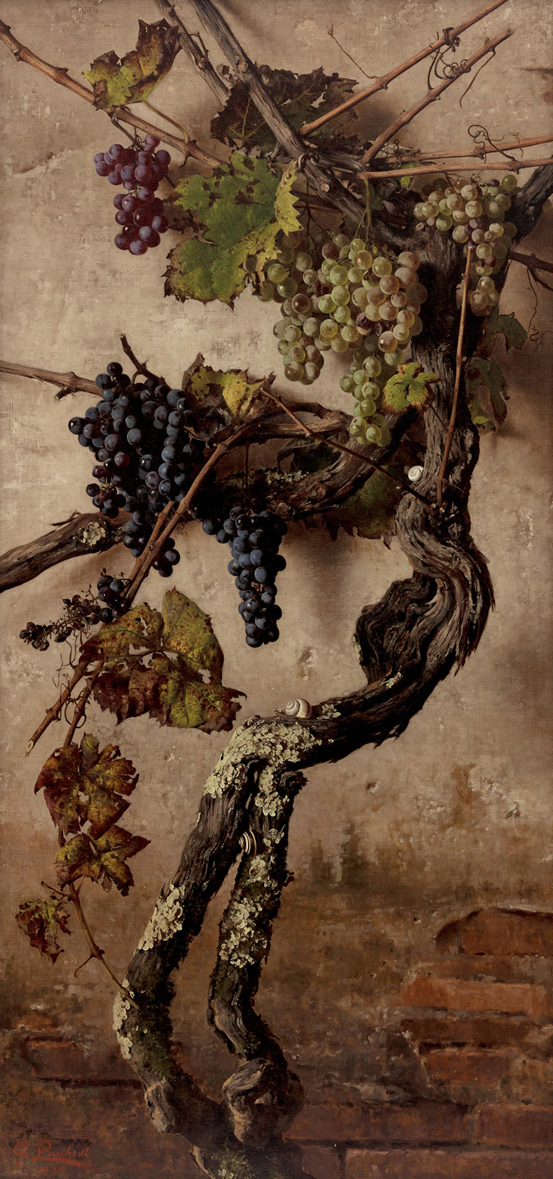 Giorgio Lucchesi, Grapes, oil on canvas