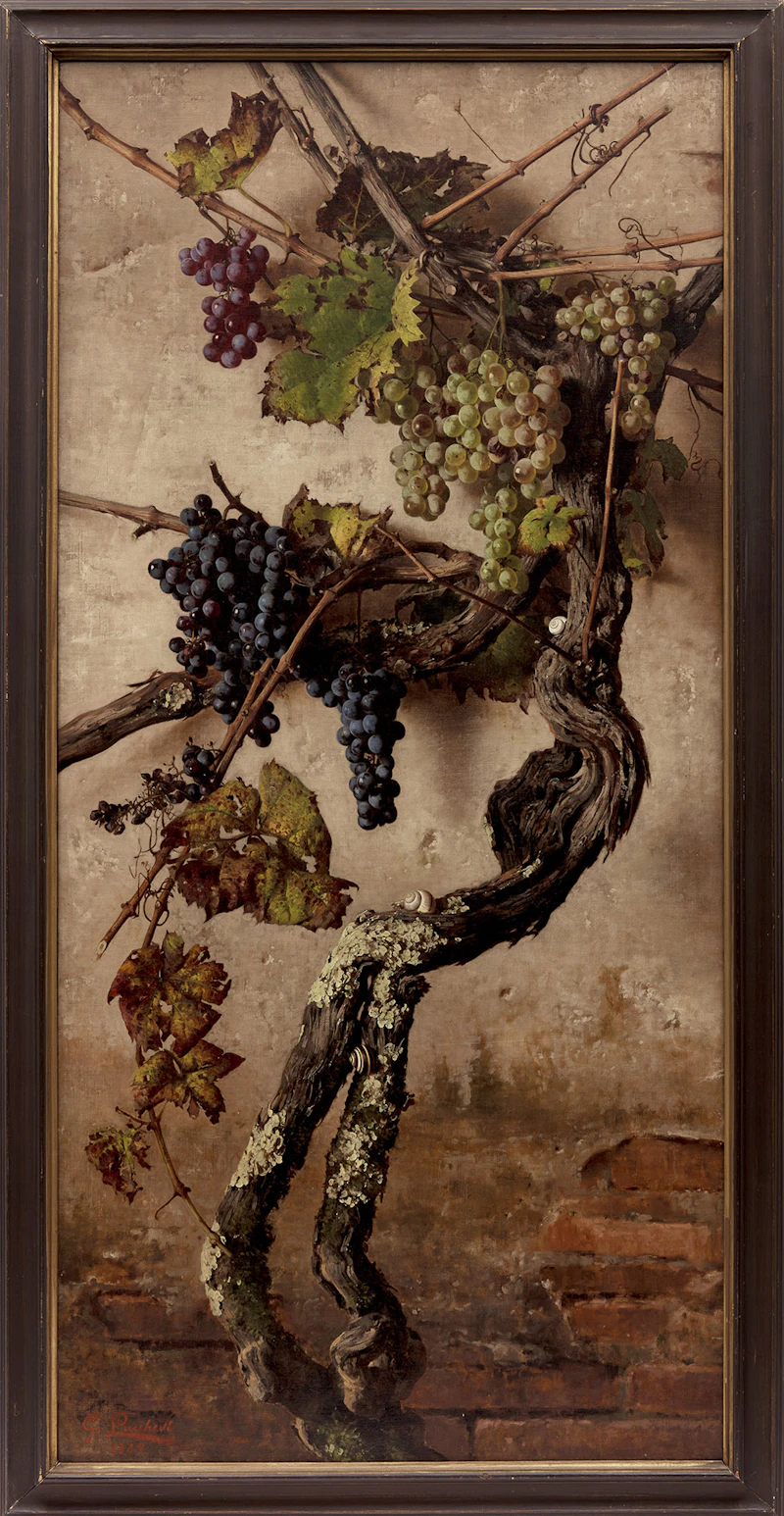 Giorgio Lucchesi, Grapes, oil on canvas, 1889 - view 2