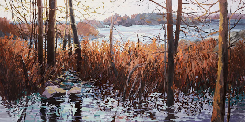 Killarney, Spring by Bev Rodin