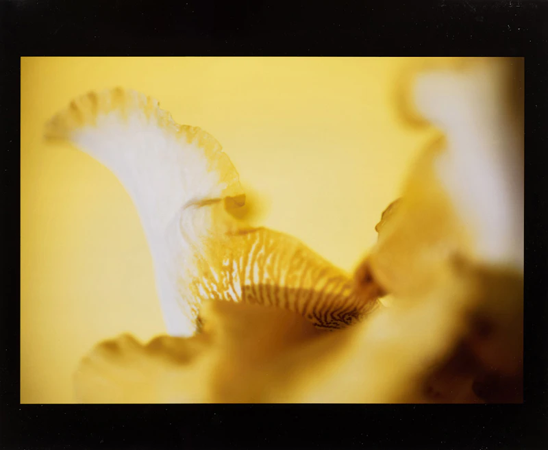 Lynn Huntley-Wyczolkowski, Icarus, cibachrome print, circa 2000 - view 2