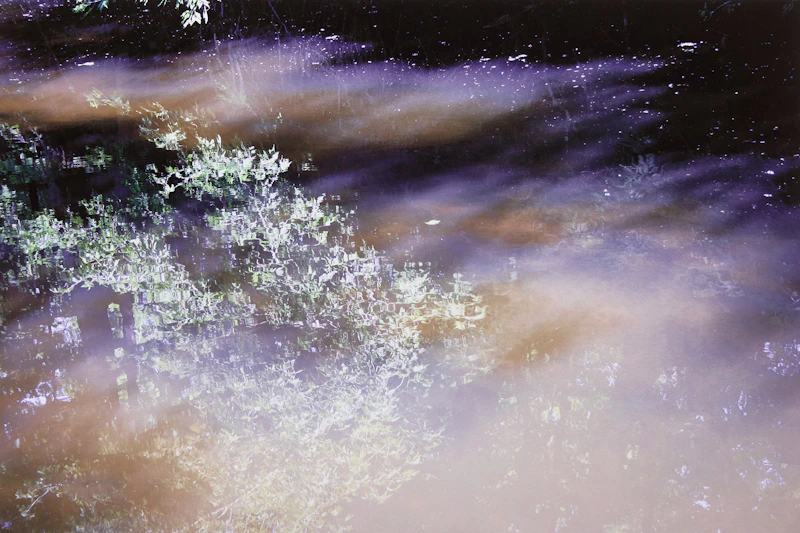 Delhi Creek by Joe Donohue