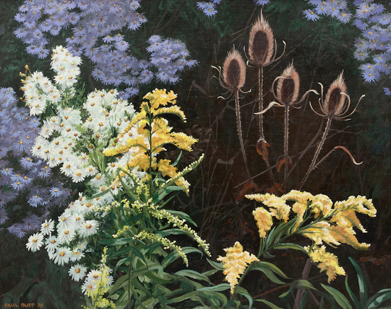 Aster, Goldenrod and Teasel by Paul Duff