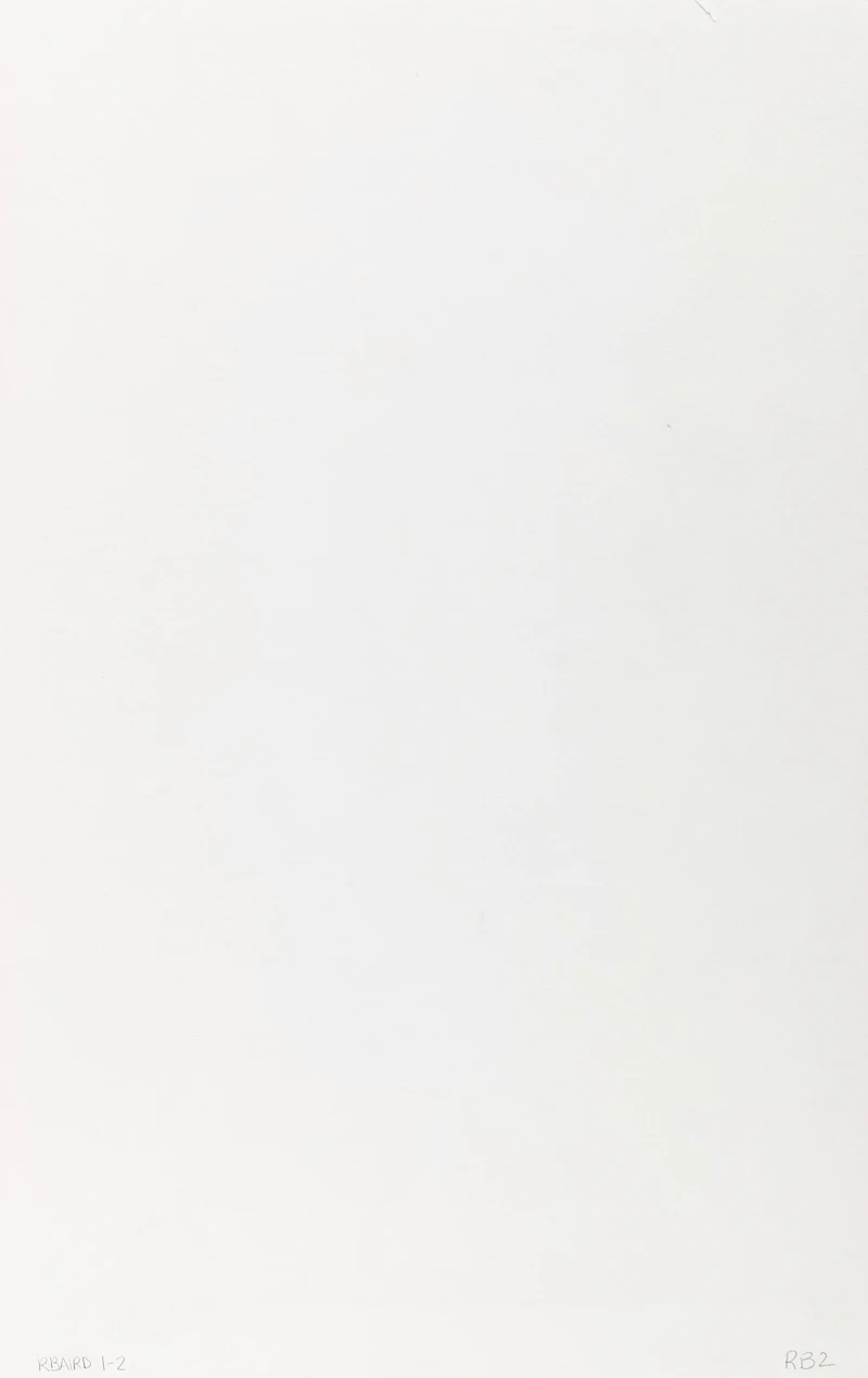 Rebecca Baird, Step Lightly #4 and Measured Along The Ground #6, two colour lithographs, 1999 - view 2