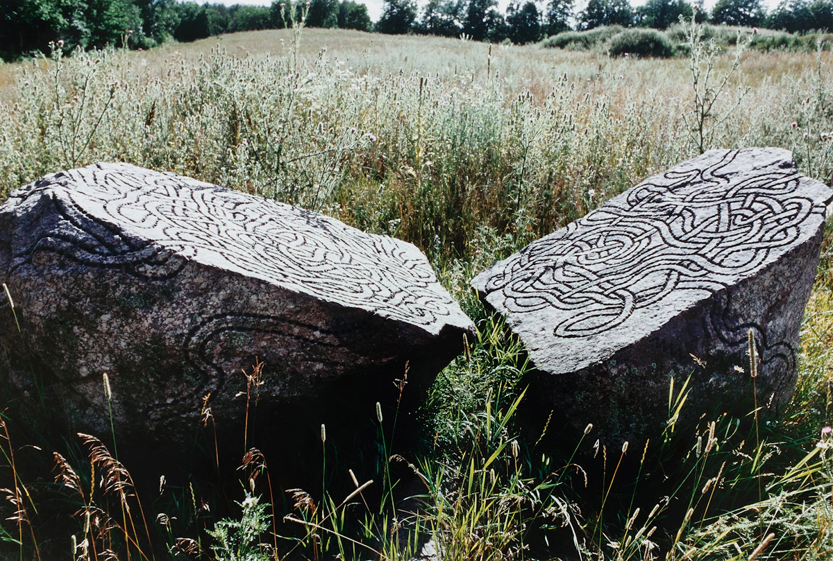 William Vazan, Strangler Nest and Hard Labour, two colour digital prints