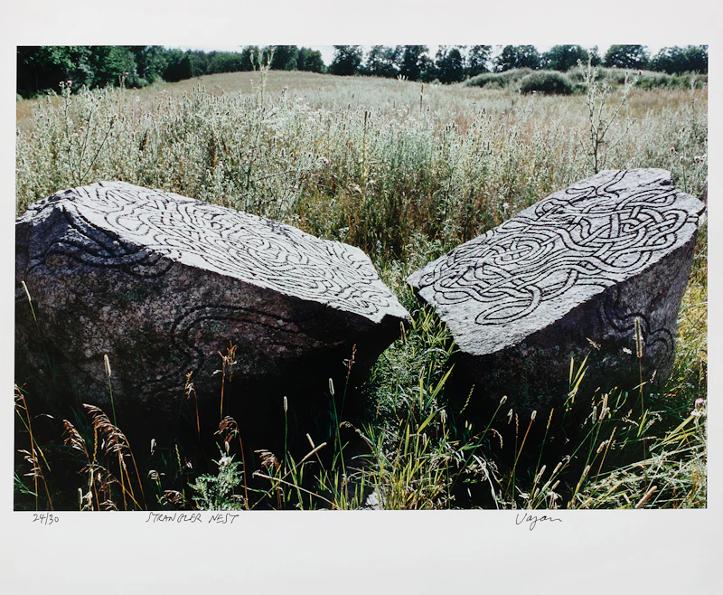 William Vazan, Strangler Nest and Hard Labour, two colour digital prints - view 2