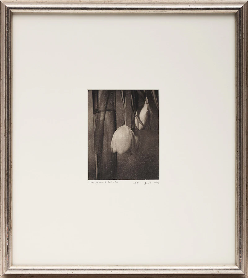 Steven Jack, Still Life, gelatin silver print, 1996 - view 2