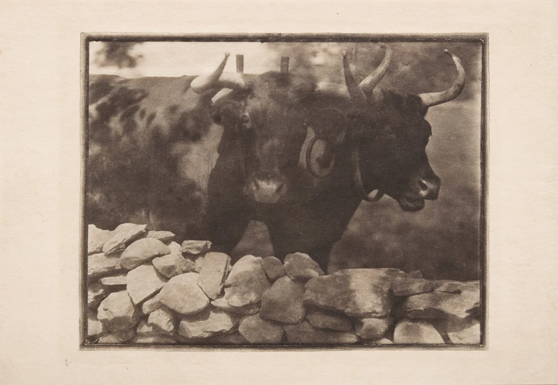 My Neighbors by Gertrude Kasebier