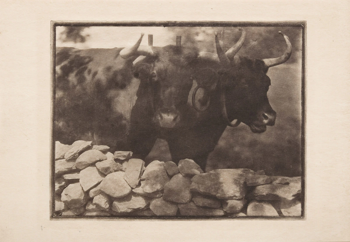 Gertrude Kasebier - Featured Work
