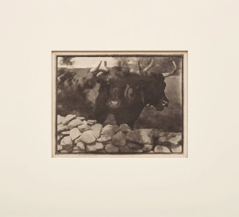 Gertrude Kasebier, My Neighbors, photogravure - view 2