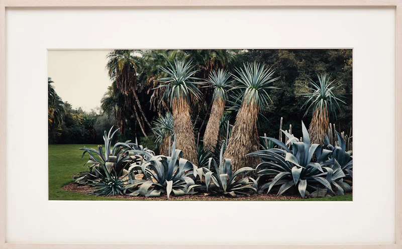 John Pfahl, Seven Landscapes, seven c-prints - view 14