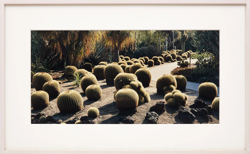 John Pfahl, Seven Landscapes, seven c-prints - view 17