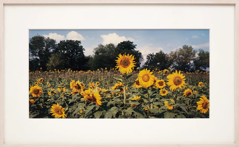 John Pfahl, Seven Landscapes, seven c-prints - view 20